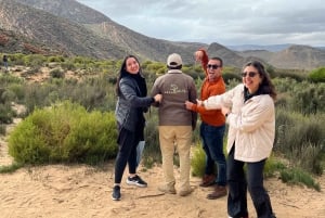 Tidig morgon Safari Big Five Upplevelse Nära Kapstaden, SA