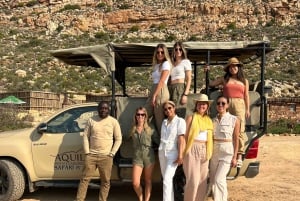 Tidig morgon Safari Big Five Upplevelse Nära Kapstaden, SA