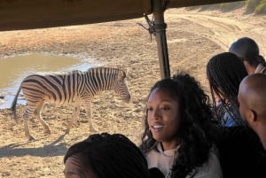 Tidig morgon Safari Big Five Upplevelse Nära Kapstaden, SA