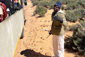 Tidig morgon Safari Big Five Upplevelse Nära Kapstaden, SA