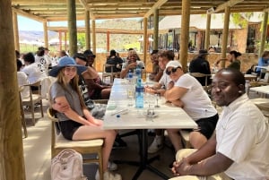 Tidig morgon Safari Big Five Upplevelse Nära Kapstaden, SA