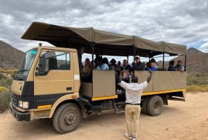 Tidig morgon Safari Big Five Upplevelse Nära Kapstaden, SA