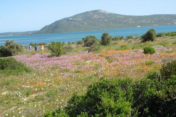 ElainsCape Eco Tours