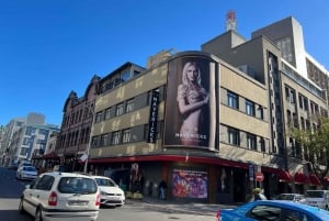 Exclusive Nightclub Tour with Local Gentlemen in Cape Town