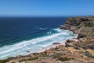 Explore Cape Point: In-App Audio Tour of Maritime Saga