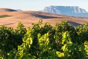 Esplora Stellenbosch, Paarl e Franschhoek Tour privato del vino