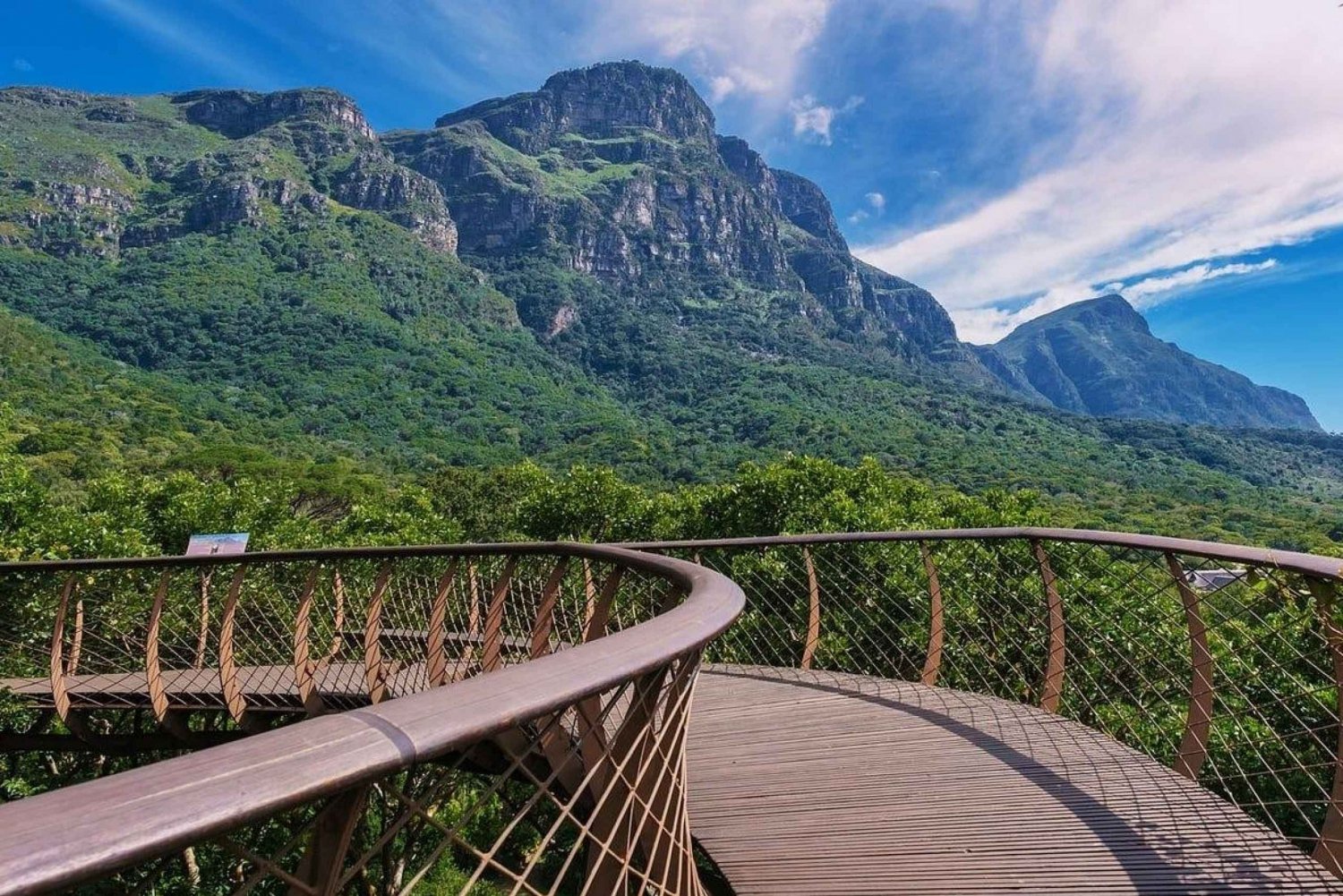 Erkunde den Tafelberg, Kirstenbosch und die Constantia-Weinkellereien.