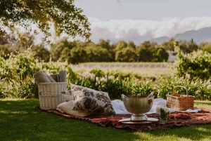 Utforsk Table Mountain, Kirstenbosch og Constantia vingårder.