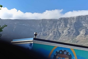 Utforsk Table Mountain, Kirstenbosch og Constantia vingårder.