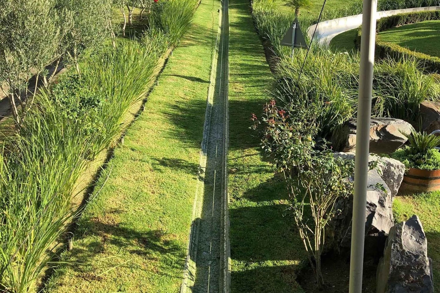 مغامرة في منتزه عائلي/كول رانينغ (الالتقاء بالضيوف في الفندق): كيب تاون