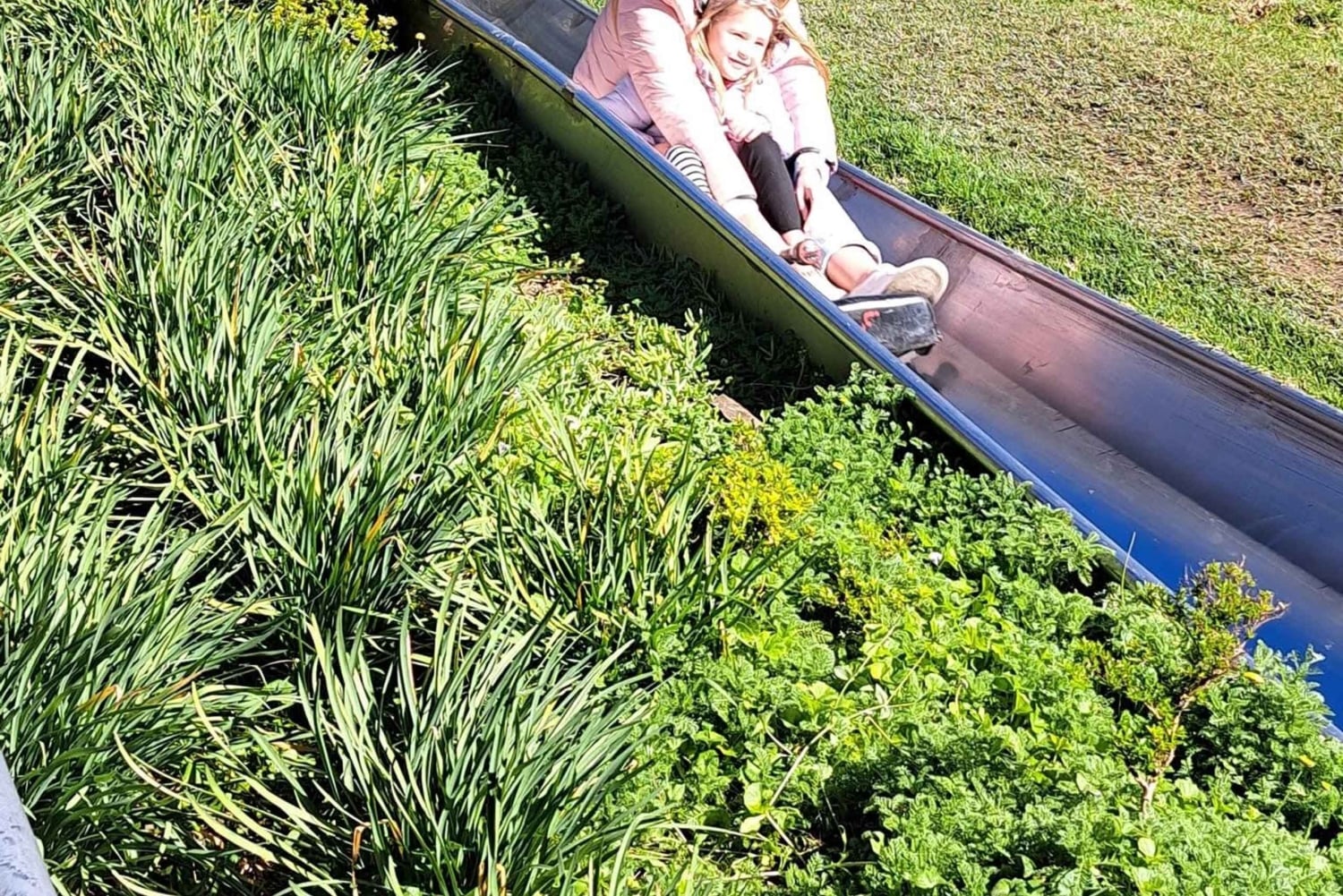 مغامرة في منتزه عائلي/كول رانينغ (الالتقاء بالضيوف في الفندق): كيب تاون