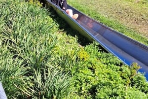 مغامرة في منتزه عائلي/كول رانينغ (الالتقاء بالضيوف في الفندق): كيب تاون