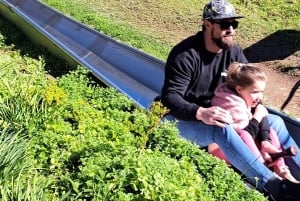 مغامرة في منتزه عائلي/كول رانينغ (الالتقاء بالضيوف في الفندق): كيب تاون