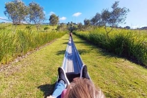 مغامرة في منتزه عائلي/كول رانينغ (الالتقاء بالضيوف في الفندق): كيب تاون