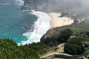 Fascinerende Kaapschiereiland ervaring (privétour)