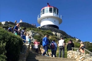 Experiencia fascinante en la Península del Cabo (tour privado)
