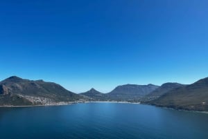 L'affascinante esperienza della Penisola del Capo (tour privato)