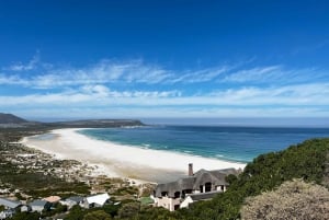 L'affascinante esperienza della Penisola del Capo (tour privato)