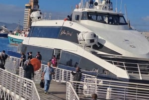 Ciudad del Cabo: Ferry a la Isla Robben con ticket de entrada a la cárcel y visita guiada