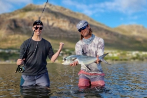 Pesca com mosca na Cidade do Cabo