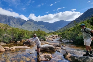 Flugfiske i Kapstaden