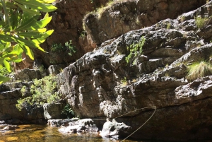 Flugfiske i Kapstaden