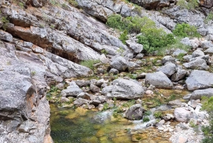 Flugfiske i Kapstaden
