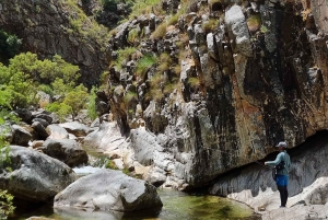 Flugfiske i Kapstaden