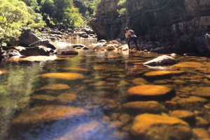 Flugfiske i Kapstaden