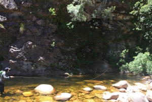 Flugfiske i Kapstaden
