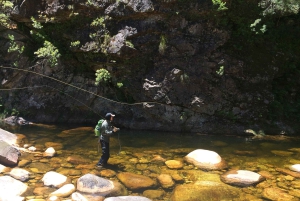 Flugfiske i Kapstaden