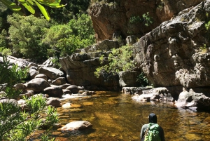 Flugfiske i Kapstaden