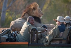 Lento Kapkaupungista Krugeriin Yksityinen safari 7 päivää