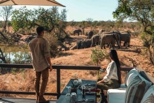 Fly fra Cape Town til Kruger - privat safari i 7 dager
