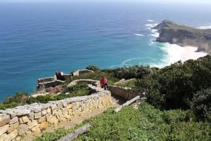 Au départ du Cap : Excursion d'une journée en groupe partagé à Cape Point et aux pingouins