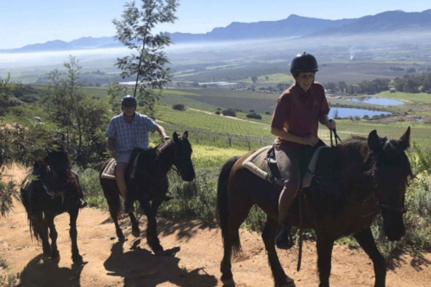 Franschhoek: Excursión de un día completo a caballo y cata de vinos