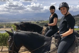 Franschhoek: Full-Day Horseback Riding and Wine Tasting Tour