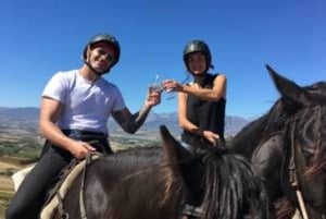 フランシュフック：1日乗馬とワインテイスティングツアー