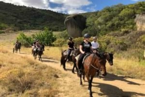 Franschhoek: Heldagstur med hesteridning og vinsmaking