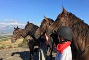 Franschhoek: Dagvullende tour te paard en wijnproeverij