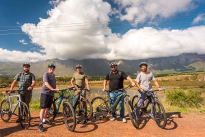 フランシュフック：プライベート電動自転車乗車とワイン体験