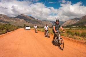 フランシュフック：プライベート電動自転車乗車とワイン体験