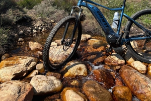 フランシュフック：プライベート電動自転車乗車とワイン体験