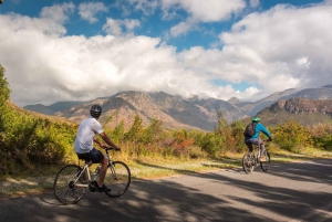 フランシュフック：プライベート電動自転車乗車とワイン体験