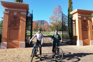 フランシュフック：プライベート電動自転車乗車とワイン体験