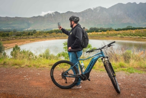 フランシュフック：プライベート電動自転車乗車とワイン体験