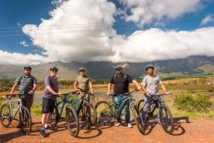 Franschhoek: prywatna przejażdżka rowerem elektrycznym i wino