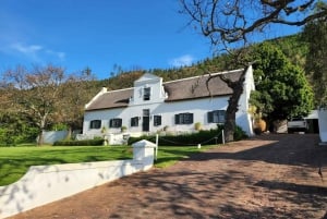 Franschhoek & Stellenbosch: Dagsutflykt med vin
