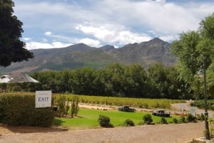 Franschhoek e Stellenbosch: Tour Degustação Vinho de 1 Dia