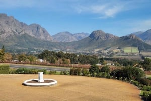 Fra Capetown: Heldagsvintur til Franschhoek og Stellenbosch